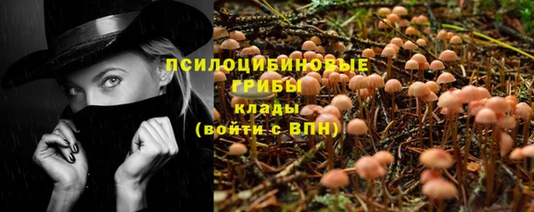 герыч Абаза