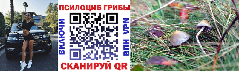 Галлюциногенные грибы мухоморы  Елизаветинская 